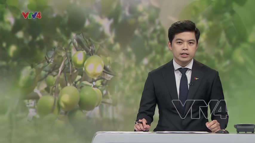 Những vườn táo gắn với sức khỏe cộng đồng