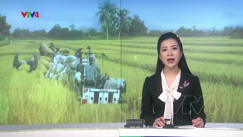 Nông nghiệp thích ứng phát triển bền vững