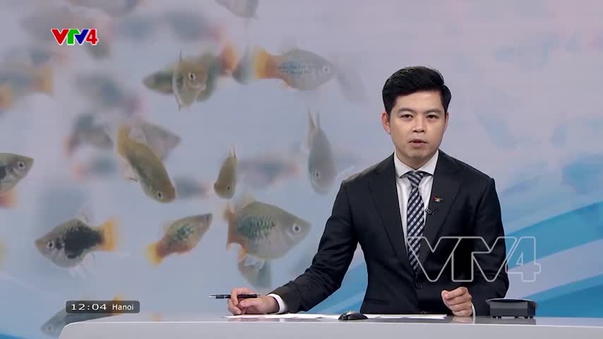 Nỗ lực tìm thị trường mới xuất khẩu cá cảnh