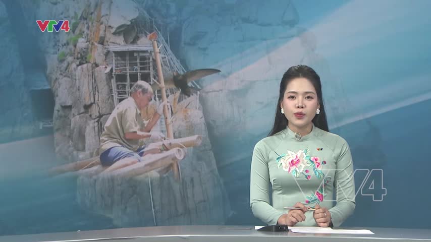 Những người giữ nghề yến