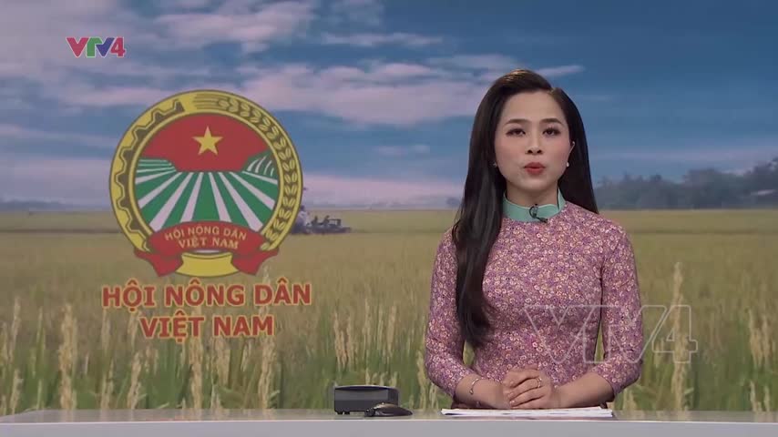 Nâng cao chất lượng hoạt động Hội Nông dân Việt Nam