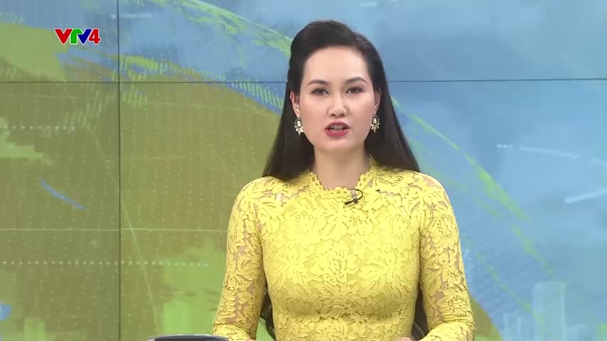 Việt Nam và EU chống khai thác gỗ bất hợp pháp