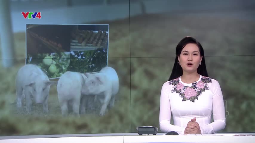 Triển vọng doanh nghiệp gia đình trong 2 năm tới