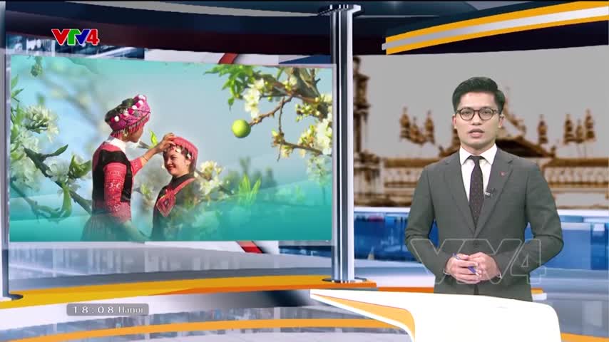Mùa hoa mận trên cao nguyên Mộc Châu