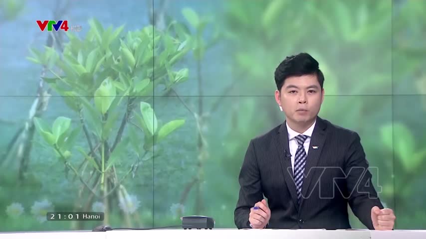Nghệ An hưởng ứng chương trình trồng 1 tỷ cây xanh