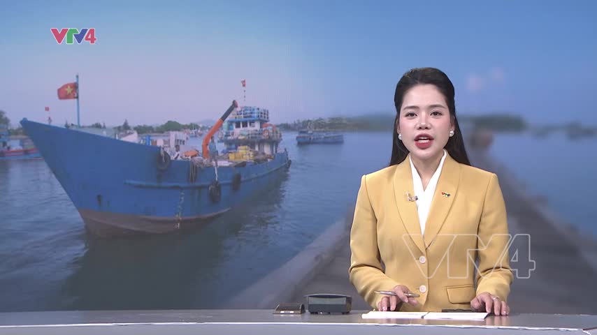 Mang Tết sớm ra đặc khu Lý Sơn