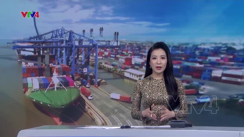 Cấp thiết hình thành đội tầu biển quốc tế Việt Nam