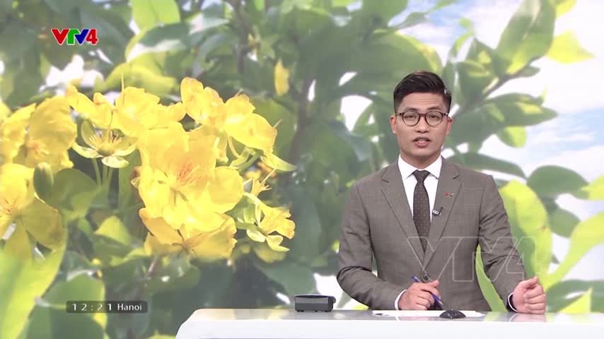 Làng Mai vào vụ Tết