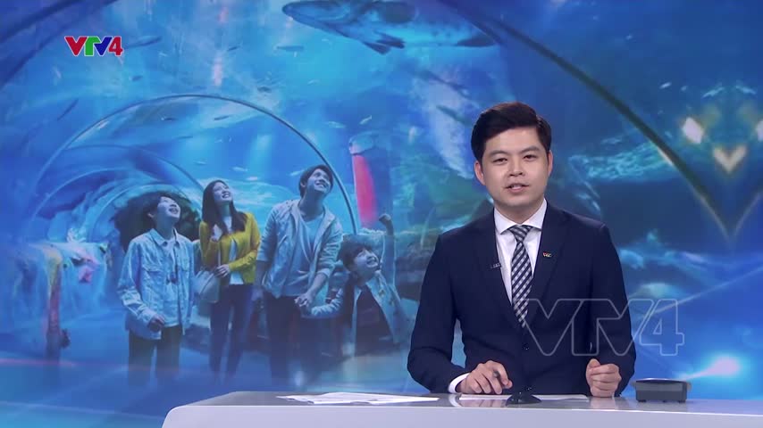 Sức sống đại dương giữa lòng núi