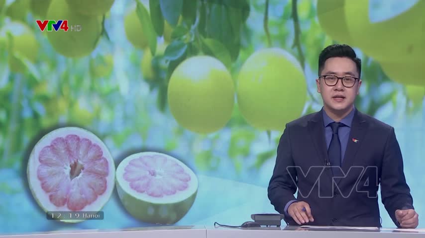 Cơ hội cho xuất khẩu bưởi vào thị trường Mỹ