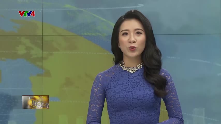 Khai quật tháp cổ tại Bình Định