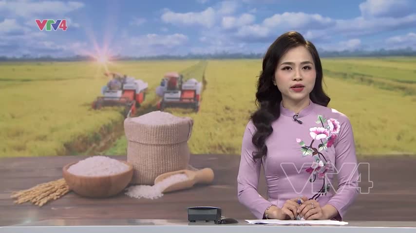 Gạo Việt Nam chiếm lĩnh thị trường Singapore