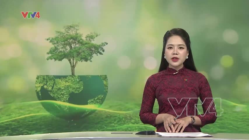 Khởi động ngày môi trường thế giới và tháng hành động vì môi trường 2026
