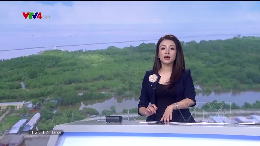 Kiên cố đê biển miền Tây
