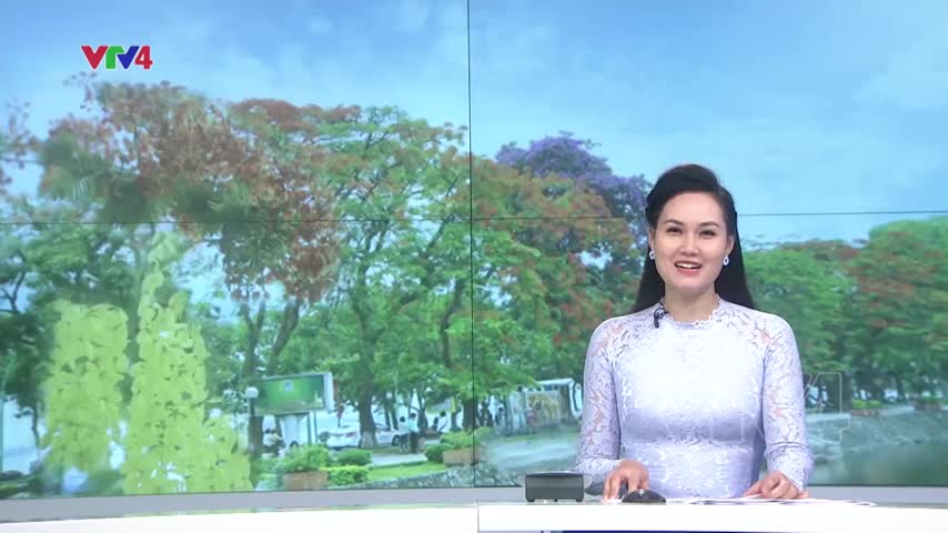Rực rỡ sắc hoa hè Hà Nội