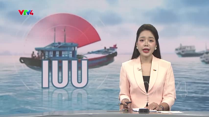 Tháng cao điểm chống khai thác IUU đạt kết quả tích cực