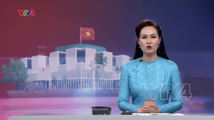 Chỉnh lý các dự thảo luật, nghị quyết của kỳ họp bất thường