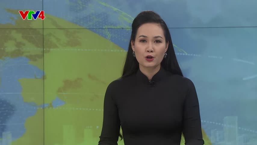 25 năm hợp tác văn hóa giữa vùng Wallonie-Bruxelles và Việt Nam