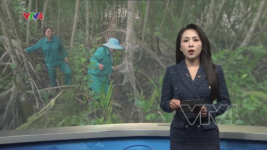 Những người phụ nữ giữ rừng