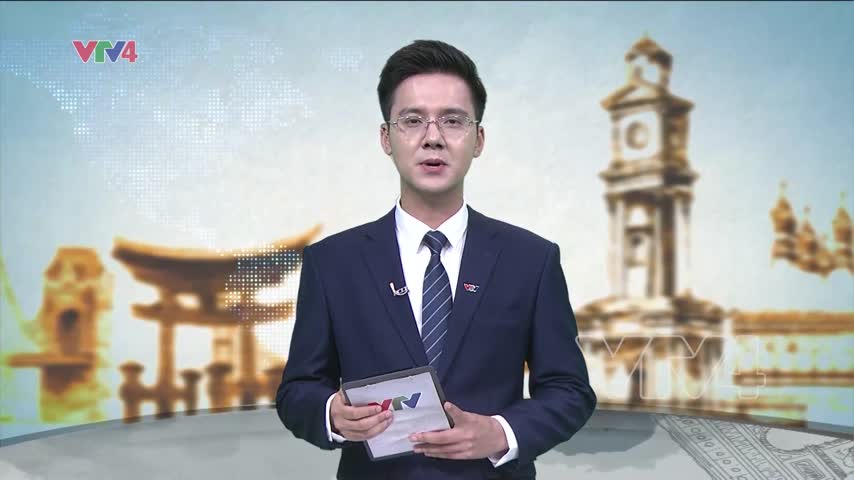 Thả rùa về biển