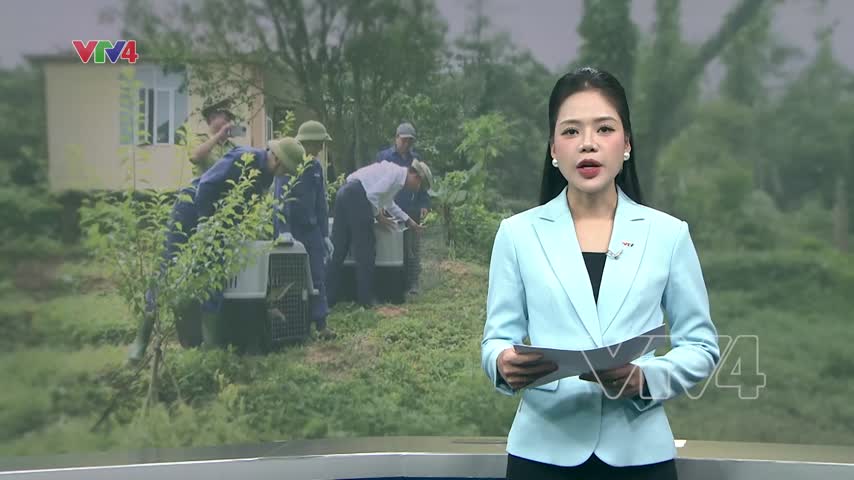 Thả 27 động vật hoang dã vào vườn Quốc gia Phong Nha - Kẻ Bàng