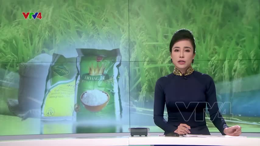 Gạo Việt Nam tại châu Âu vẫn trụ vững trong dịch Covid-19