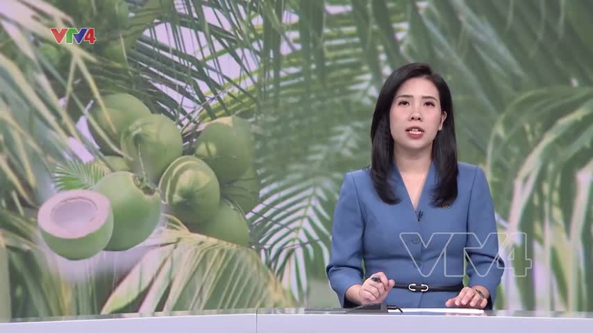 Liên kết để ngành dừa phát triển bền vững