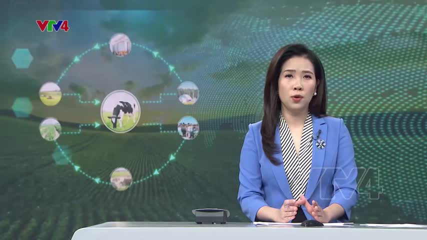 Kinh tế tuần hoàn trong sản xuất xanh