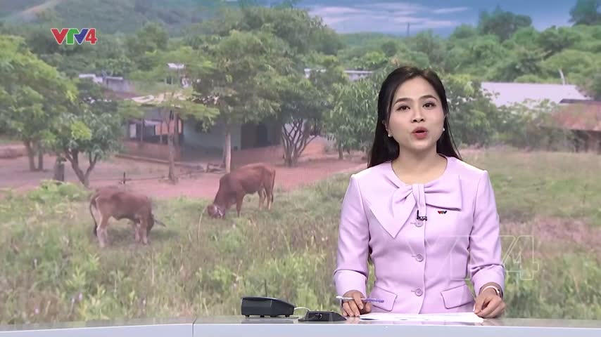 Gắn xóa nhà tạm với tạo sinh kế