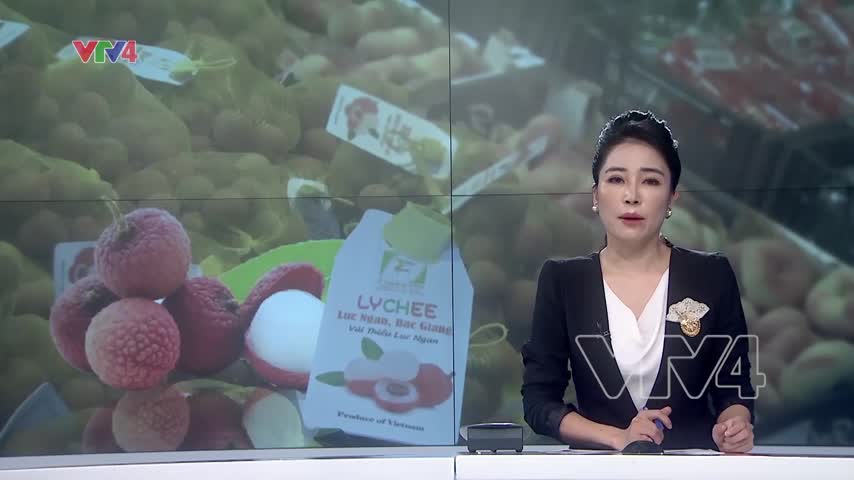 Thử nghiệm vải thiều Việt Nam trong siêu thị Hà Lan