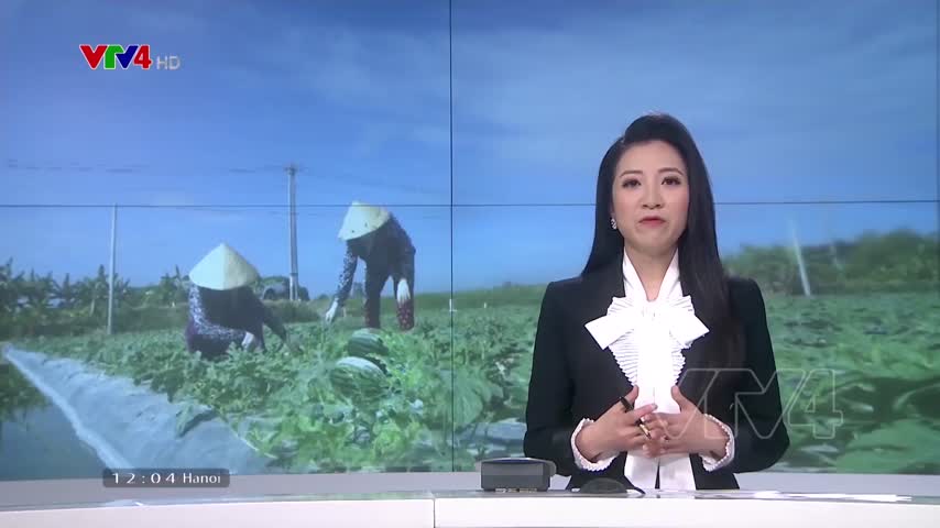 Vùng hạn mặn thay đổi quy trình canh tác