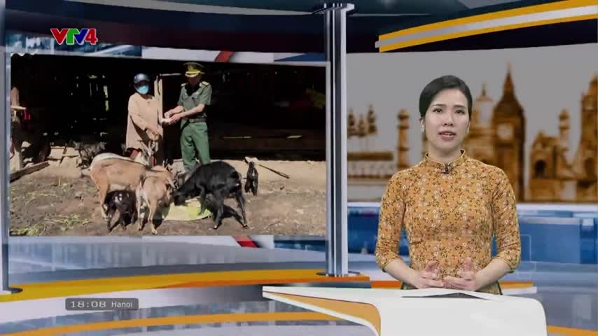 Mô hình quân dân kết hợp giúp đồng bào nghèo biên giới