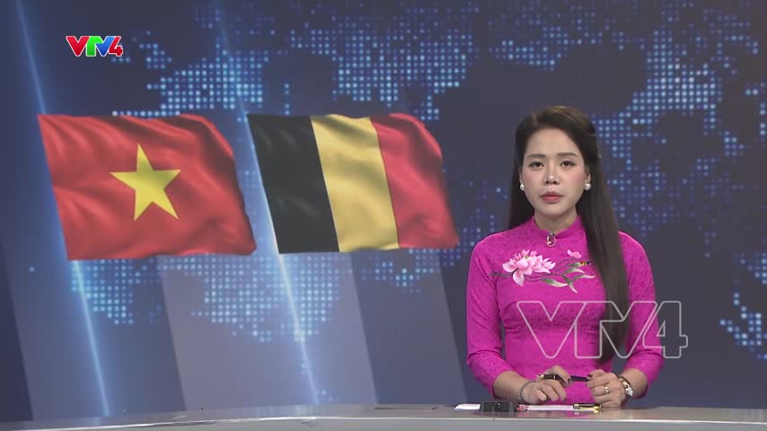 Tổng Bí thư, Chủ tịch nước hội kiến Nhà vua Bỉ