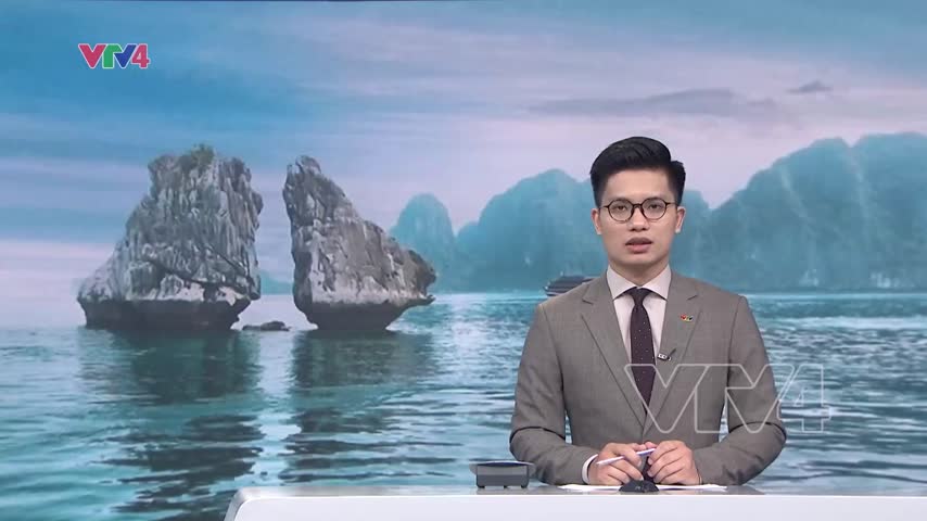 Chốt các phương án bảo tồn hòn Trống Mái