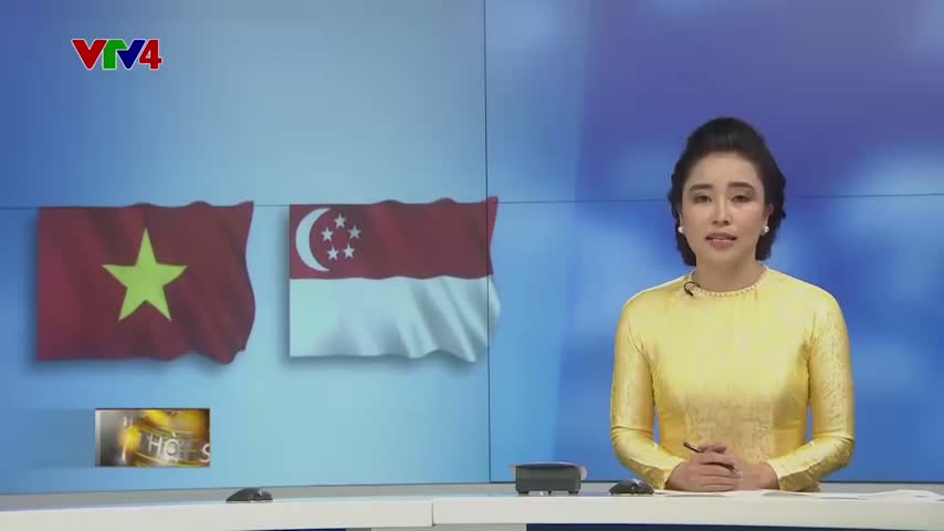 Diễn đàn doanh nghiệp Việt Nam - Singapore