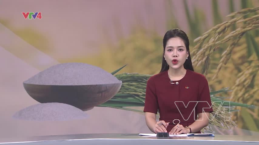 Bàn giao lô gạo đầu tiên từ dự án trồng lúa tại Cuba