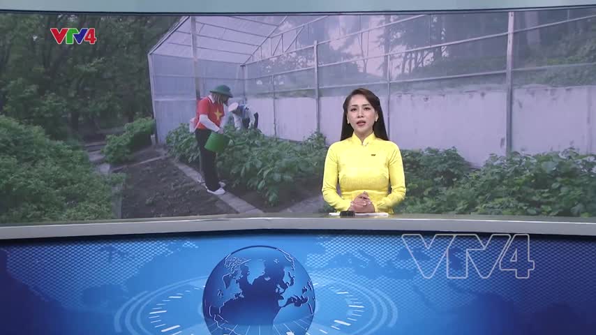 Kiều bào Ba Lan và nỗ lực xanh hóa Trường Sa