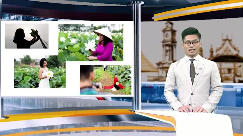 Lưu giữ khoảnh khắc với hoa sen