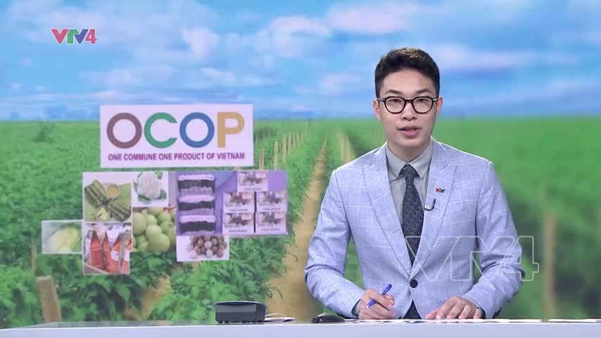 Nâng cao chất lượng sản phẩm OCOP