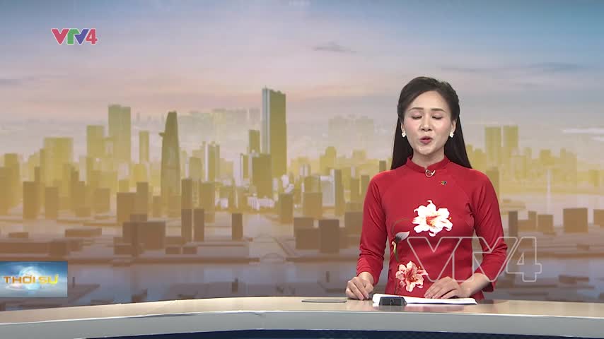 Quảng Ngãi bắt đầu khai quật tìm kiếm mộ liệt sĩ tập thể