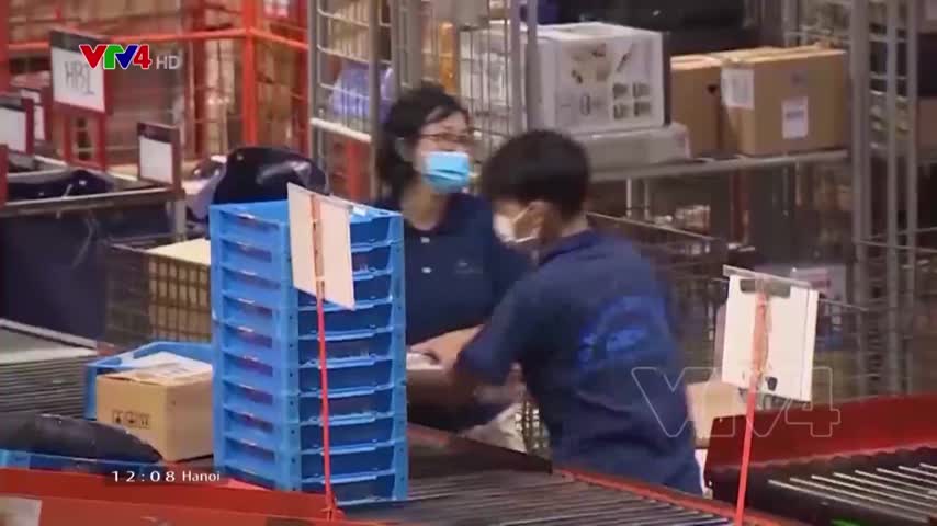 Tiềm năng phát triển của ngành bao bì tại Việt Nam