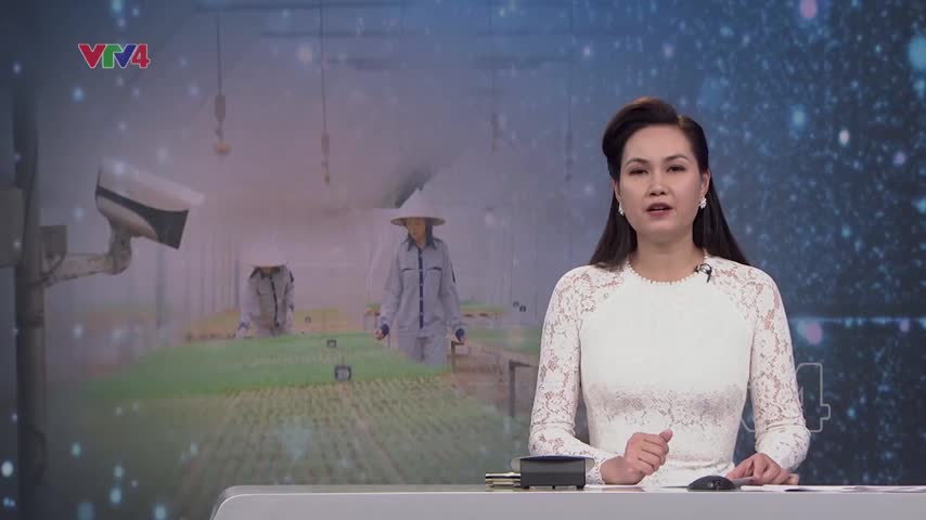Chuyển đổi số trong hoạt động kinh tế tập thể