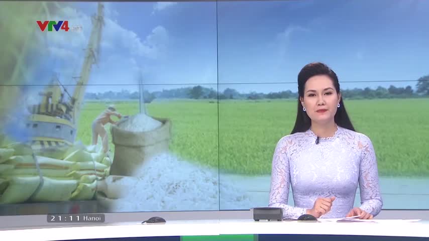 Gạo Việt trước thay đổi chính sách nhập khẩu từ Philippines