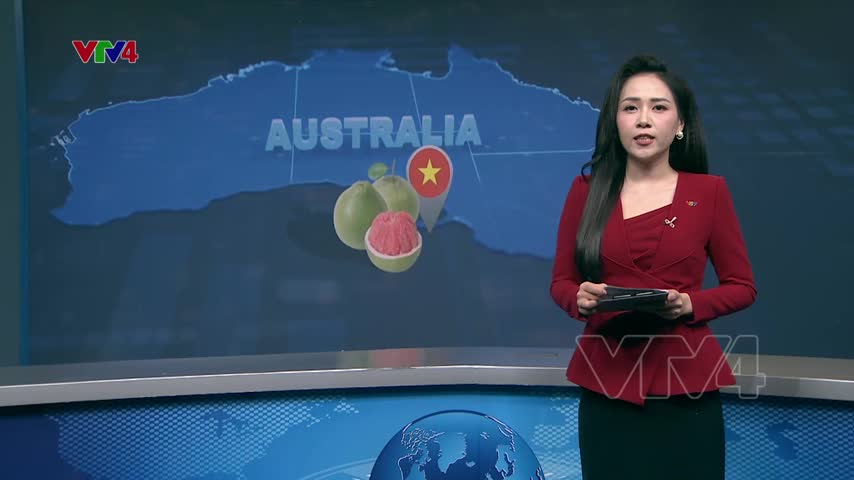 Thêm cơ hội cho trái bưởi Việt Nam