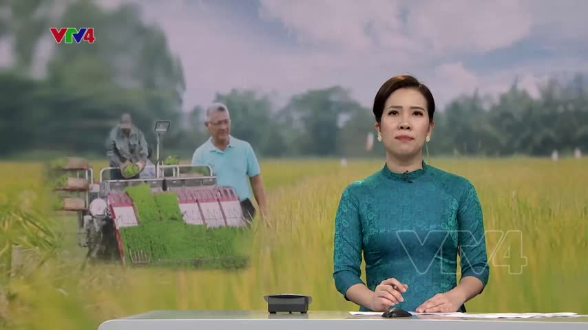 Thu hút, phát huy vai trò trí thức người Việt Nam ở nước ngoài