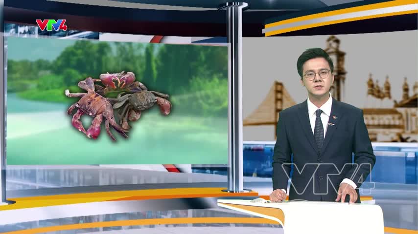 Kiếm thêm thu nhập từ bắt Ba Khía