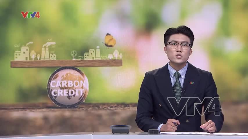 Đề xuất miễn thuế từ thu nhập từ việc bán tín chỉ Carbon
