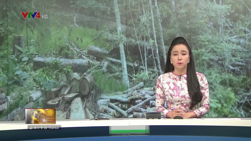 Khó khăn bảo vệ rừng tại Yok Đôn
