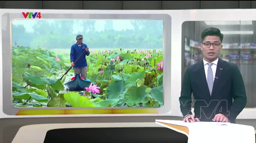 Đa dạng kinh tế mùa lũ