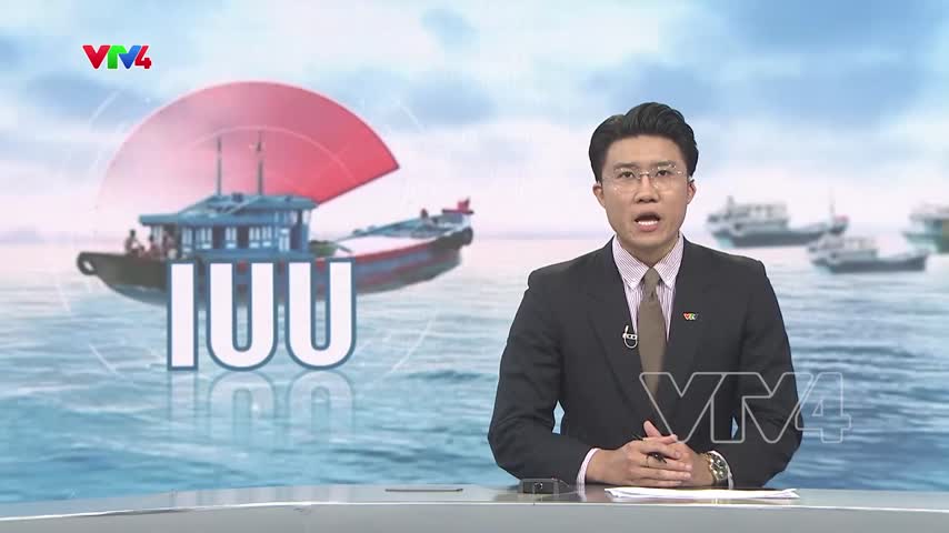 Đưa quy định chống khai thác IUU đến từng ngư dân